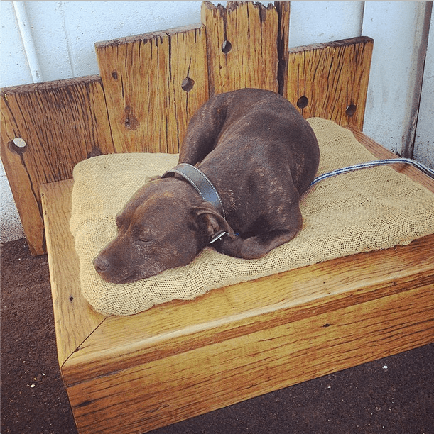 Screen Shot 2014-12-17 at 10.00.40 pm